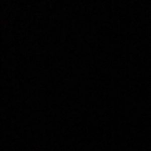 Meet your Posher, Penny